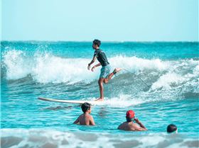 received 2030474087251229