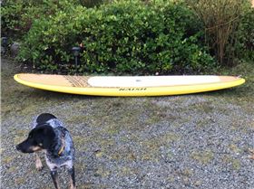 48425007 2221844974542293 5194290949081006080 n