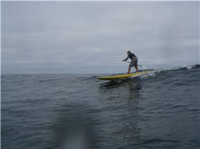 Stand Up Paddle
