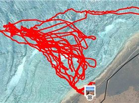 Got to fencies      Stand Up Paddling   Strava