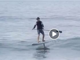 Screen Shot 2019-05-30 at 7.14.16 pm