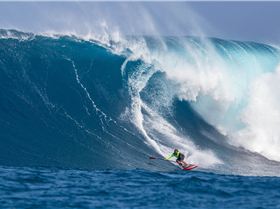 Kealii Jimmy Lewis-1 copy