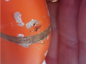 Screenshot 20190831-145820 Gallery