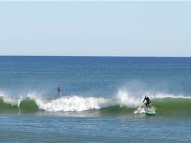 73423465 10206442024966321 6721603666253447168 o