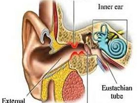 73472629 2499949983663351 6151270410647240704 n