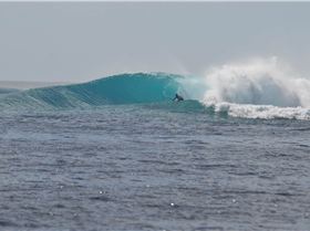 Maldives SUP Surfing
