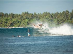 Maldives SUP Surfing