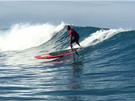 Screen Shot 2020-03-09 at 1.59.20 PM