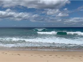 Screen Shot 2020-03-25 at 11.23.32 AM 2