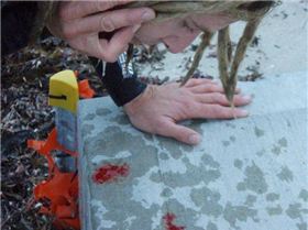 Playing at Playgrounds
