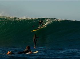 noice board on a noice wave