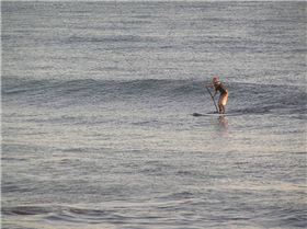 Stand Up Paddle