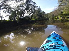 Stand Up Paddle