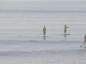 Stand Up Paddle
