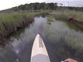 Stand Up Paddle