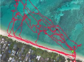 Screen Shot 2020-09-03 at 2.46.26 PM