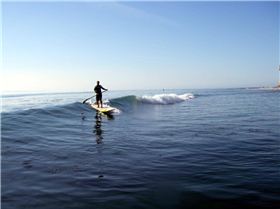 Stand Up Paddle