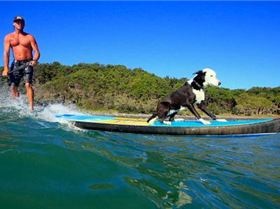 16 Laguna Bay Penetrator