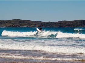 ecs mckee xxl 10 x 28