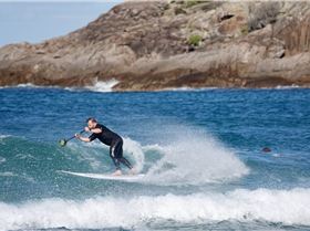 ecs mckee xxl 10 x 28