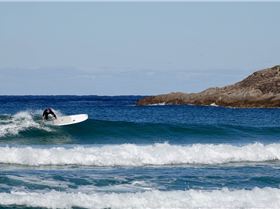 ecs mckee xxl 10 x 28