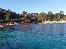 20210117102548resize50