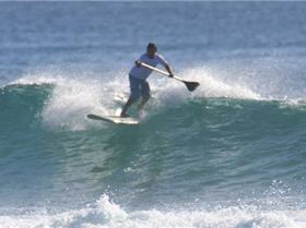 sup...the alley...currumbin....guy...honalua blue 