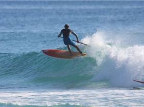 narrow neck..goldie....