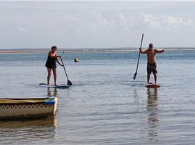 Stand Up Paddle