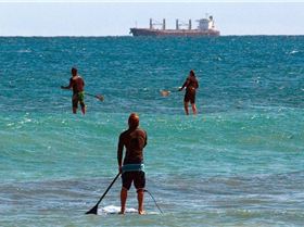 Stand Up Paddle
