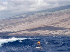 243022161102241820051515042814070754994913218n