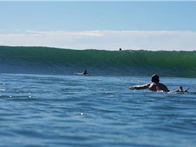 Burleigh Rocky Feb 2021