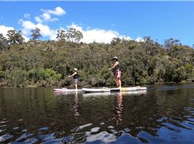 Stand Up Paddle