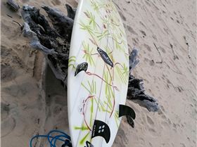 lrd bottom tail souche