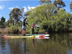 Stand Up Paddle