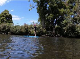 Stand Up Paddle