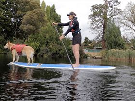 Stand Up Paddle