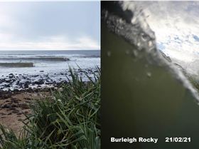 Screen Shot 2022-02-06 at 1.01.59 pm