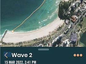 Foiling Little Marley