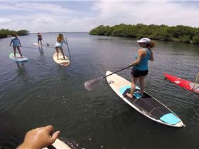 Stand Up Paddle