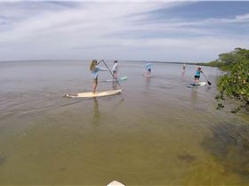 Stand Up Paddle
