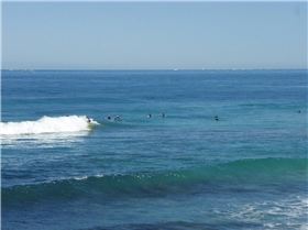 Miller and his paddle