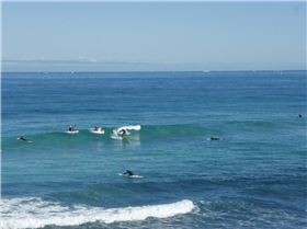 Miller and his paddle