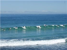 Miller and his paddle