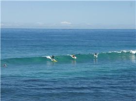 Miller and his paddle