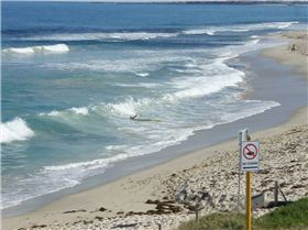 Miller and his paddle