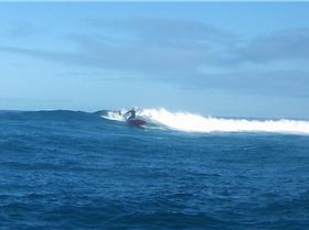 SUP session near Perth