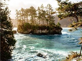 Salt+Creek+Recreational+Area,+Port+Angeles,+Washington,+Olympic+Peninsula