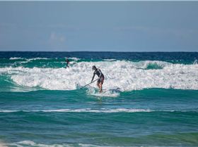 Stand Up Paddle