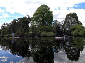 Stand Up Paddle